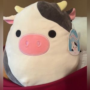 12” Connor Squishmallow BNWT